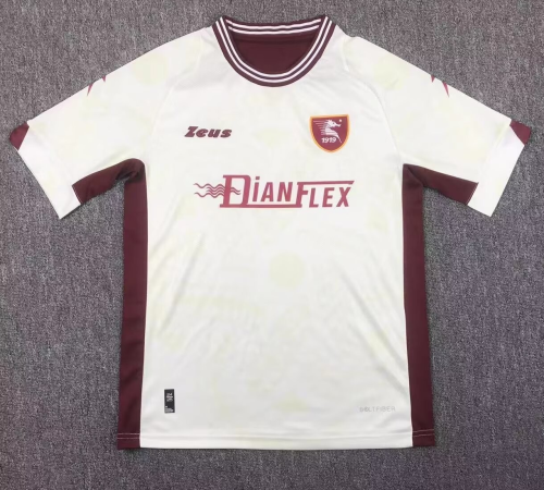 24-25 Salernitana Away Fans Soccer Jersey