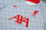 23-24 LIV Grey Training Short Suit