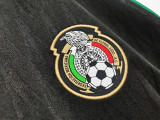 2010 Mexico  Away Soccer Jersey