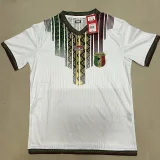24-25 Mali Home Player Version Soccer Jersey