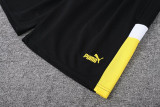 23-24 Dortmund Black Training Short Suit