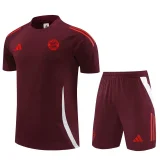 24-25 Bayern Dark red Training Short Suit