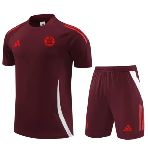 24-25 Bayern Dark red Training Short Suit