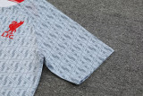 23-24 LIV Grey Training Short Suit
