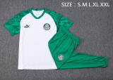 23-24 Palmeiras White Short-sleeved Trouser Suit #C1014