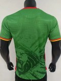25-26 Cameroon Green Player Version Soccer Jersey