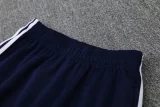 2025 AD Royal blue Jacket Tracksuit #2315