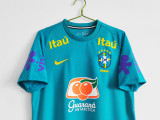 2021 Brazilian Blue Lagoon Training Jersey
