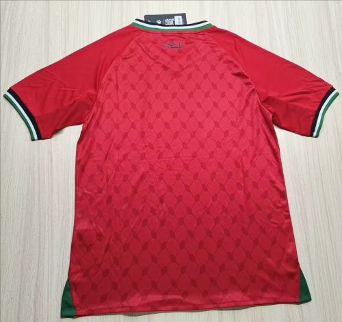 24-25 Palestina Away Fans Soccer Jersey