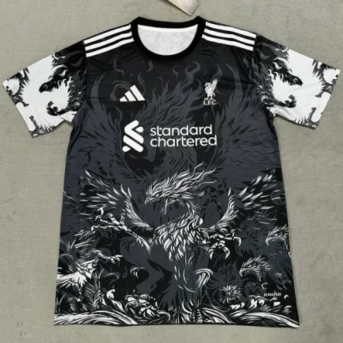 25-26 LIV Black Blue Special Edition Training shirts *凤凰