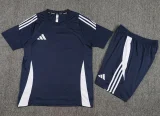 2024 AD Royal blue Training Short Suit