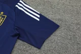 24-25 Spain Royal blue Training Short Suit