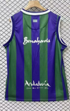 24-25 BAR Purple Green Vest