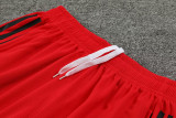 23-24 Flamengo White Training Short Suit