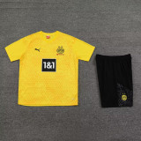 23-24 Dortmund Yellow Training Short Suit