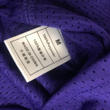 Lakers JOHNSON # 32 Purple MitchellNess Retro Jerseys