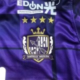 25-26 Sanfrecce Hiroshima Home Fans Soccer Jersey 广岛二箭