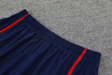23-24 PSG Beige Training Short Suit