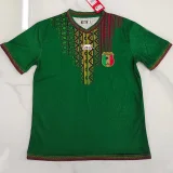 24-25 Mali Away Player Version Soccer Jersey