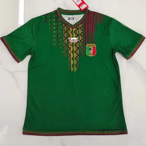 24-25 Mali Away Player Version Soccer Jersey