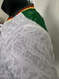 2024 Cameroon White Special Edition Player Version Soccer Jersey