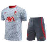 23-24 LIV Grey Training Short Suit