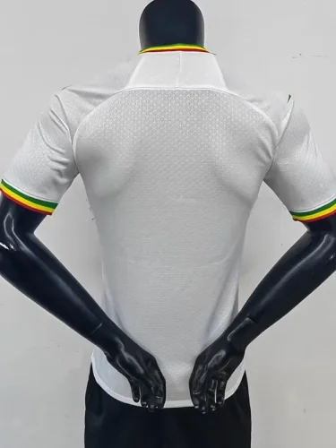 2023 Mali CAN White Player Version Soccer Jersey