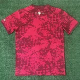 24-25 Portugal Red Training Shirts