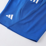 2023 AD03 Blue Training Short Suit