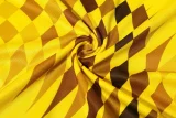 24-25 Dortmund Yellow Training Short Suit