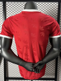 24-25 Bayern Red Casual style Player Version Soccer Jersey