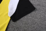 23-24 Dortmund Black Training Short Suit
