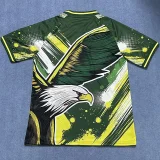 24-25 Brazil Green Yellow Special Edition Training Soccer Jersey