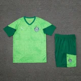 24-25 Palmeiras Light green Training Short Suit