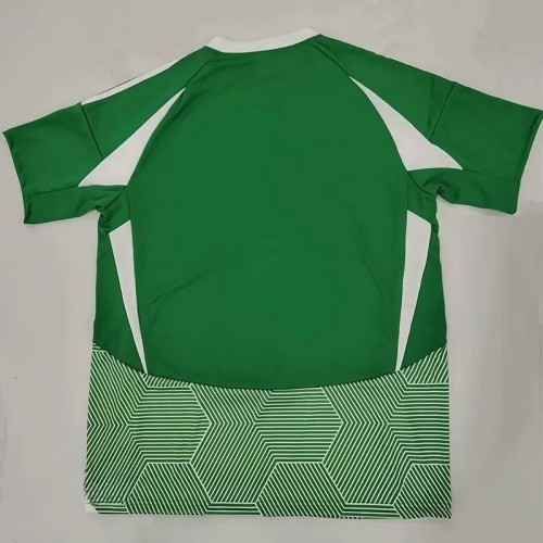 24-25 Maccabi Haifa Home Fans Soccer Jersey