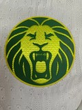 25-26 Cameroon White Player Version Soccer Jersey