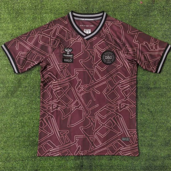 24-25 Denmark HALO Special Edition Fans Soccer Jersey