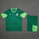 24-25 Palmeiras Green Training Short Suit