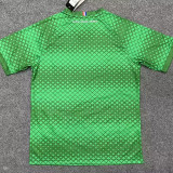 23-24 BaHia Green GoalKeeper Fans Soccer Jersey