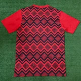 24-25 Egypt Red Training shirts