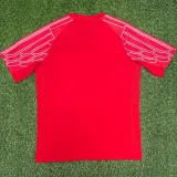 24-25 PSG Red Fans Training shirts