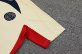 23-24 PSG Beige Training Short Suit