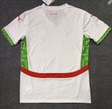 24-25 Morocco Away Fans Soccer Jersey