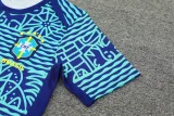 24-25 Brazil Fancy blue Training Short Suit