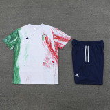23-24 Italy White Red Green Training Short Suit
