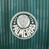 23-24 Palmeiras Special Edition Green Fans Soccer Jersey