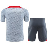 23-24 LIV Grey Training Short Suit