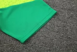 24-25 Palmeiras Fluorescent green Training Short Suit