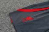 23-24 LIV Grey Training Short Suit