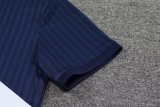 2023 Ajax Casual Classic Royal Blue Training Short Suit